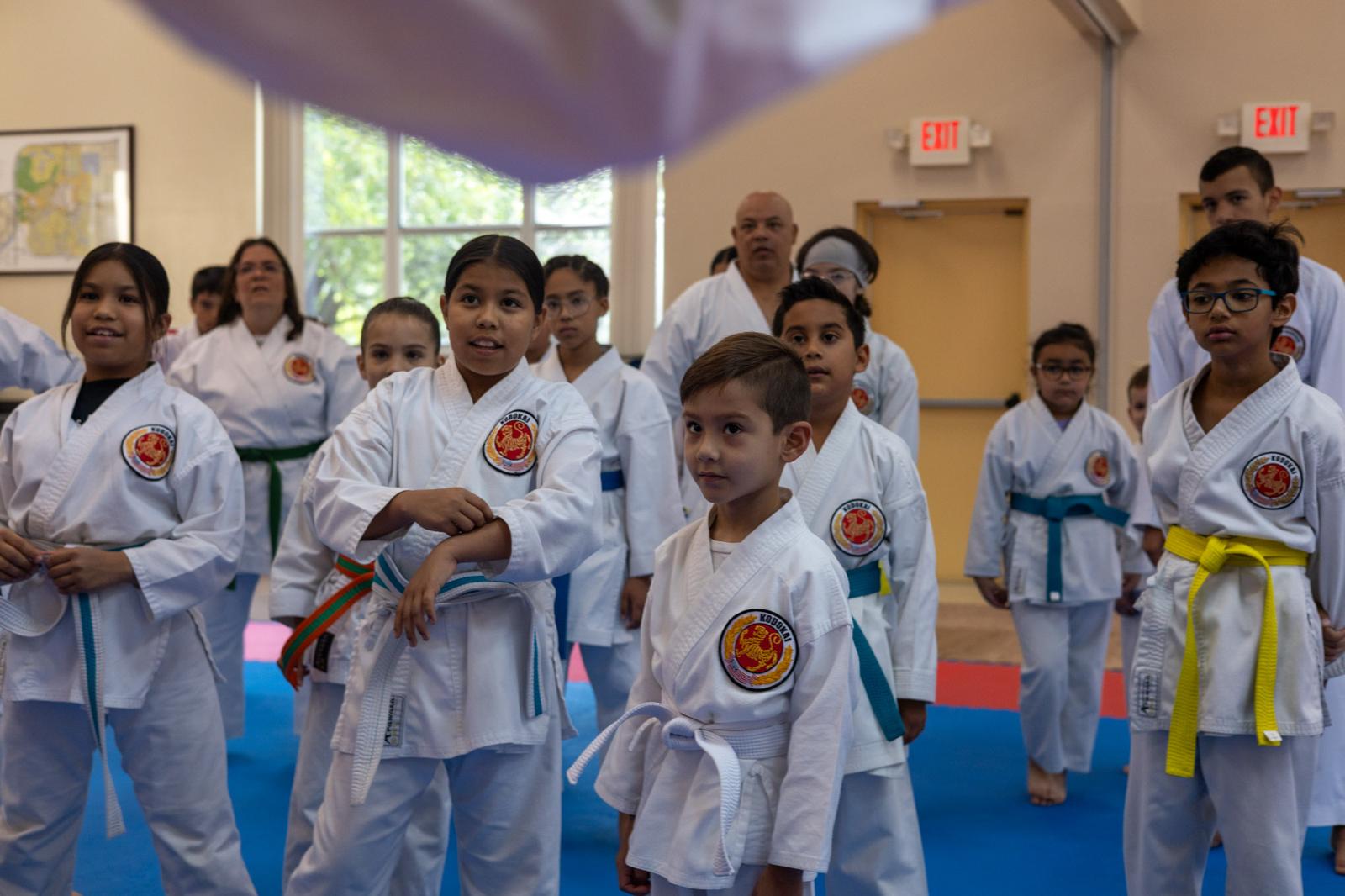 Artes Marciales